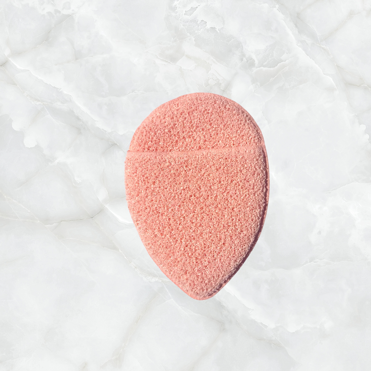 Cleansing Sponge Face