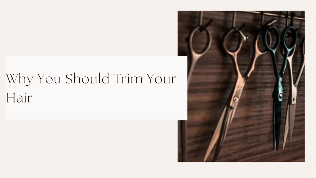 The Reasons Why You Should Trim Your Hair Regularly
